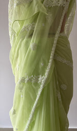 Fine chikankari on border and pallu across the pallu