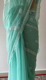 Fine chikankari on border and pallu across the pallu