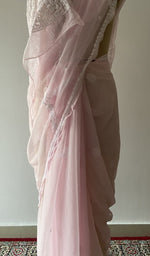 Fine chikankari on border and pallu across the pallu