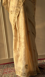 Saree on the mannequin, full length