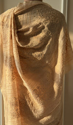 Embroidery on the golden beige saree, close view