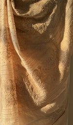 Saree on the mannequin, back view