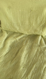 Dupatta border detail
