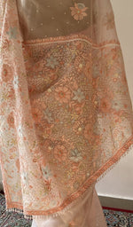 Border and pallu together