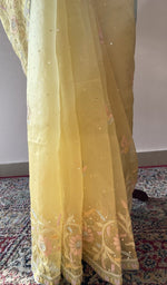 Close look at the beautiful ek and do taar heavy chikankari on border