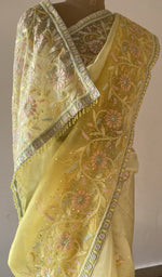 Saree border along the pleats