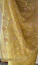 Pallu detail