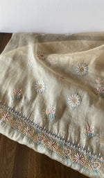 Thread detail on beige pure organza silk