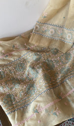 Gala and neckline, extremely fine ek and do taar multicoloured chikankari