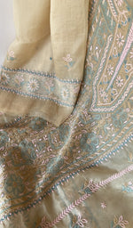 Sleeve work on beige pure organza silk