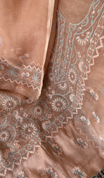 Gala and neckline, extremely fine ek and do taar multicoloured chikankari