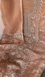 Sleeve work on peach pure organza silk