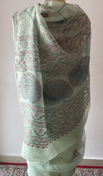 Green pure organza silk saree, full drape