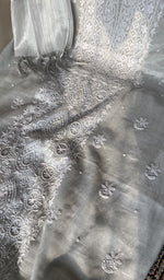 Fine chikankari on panel on the white tissue chanderi
