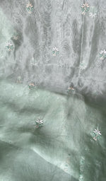 Hand embroidery on mint green organza silk