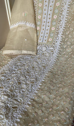 Chikankari worked by hand on organza silk
